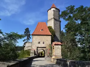 Замъкът Звиков
