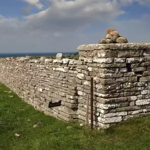 Южен Йоланд