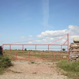 Йоланд