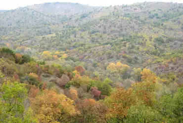 Сакар Планина