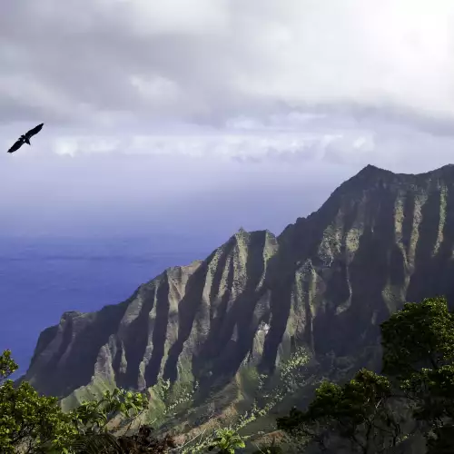 Остров Кауай (Kauai)