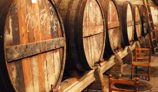 Собствена винарна ще има курорта Албена