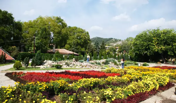 Ботаническата градина в Балчик става на 55 години