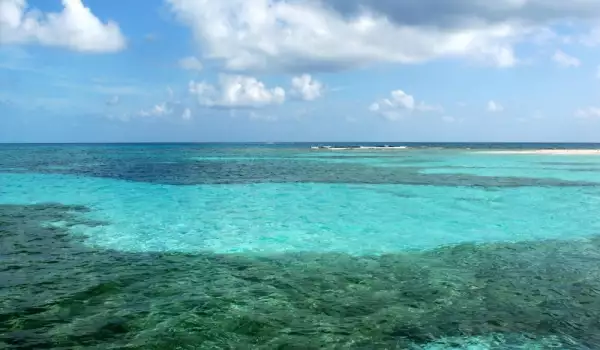 Белизийски бариерен риф