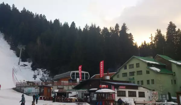 Боровец