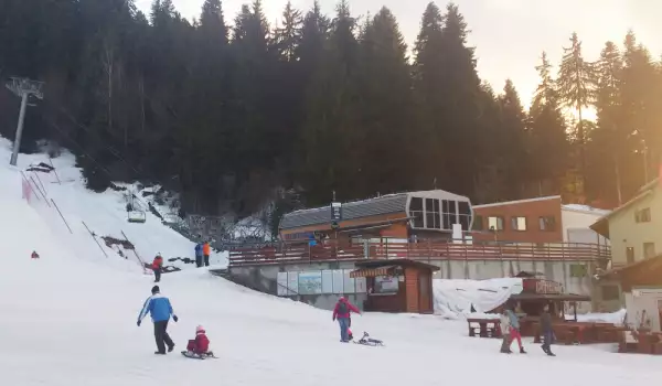 Боровец