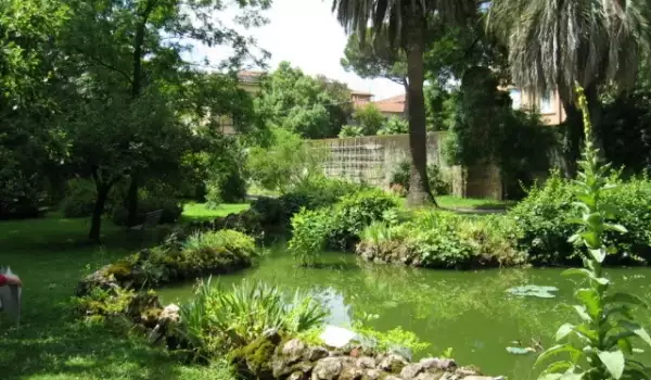 Ботаническа градина в Пиза