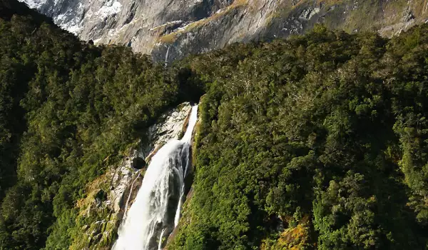 Bowen Falls в Нова Зеландия
