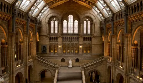 Драстичен спад на посетители в британските музеи