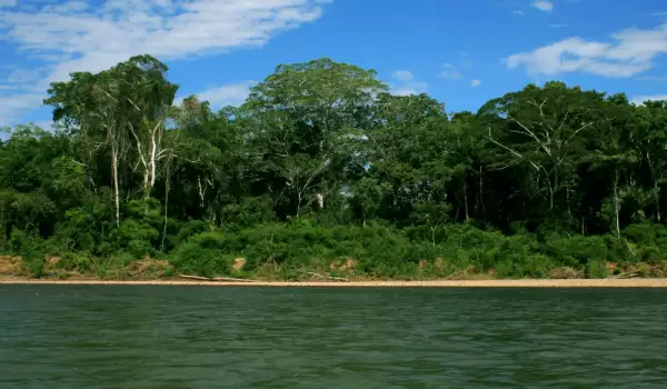Централен природен резерват Суринам