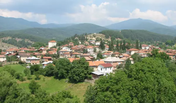 Село Гърмен ще се прочуе из Европа със своя 600 годишен чинар