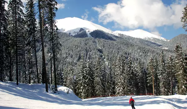 Любители на планината откриват сезона на Алеко като протест срещу Витоша ски