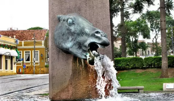 Drooling Horse