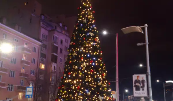 Коледна елха в София