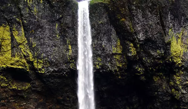 Водопадът Елова в Орегон