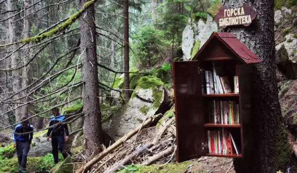 Горска библиотека в Родопите