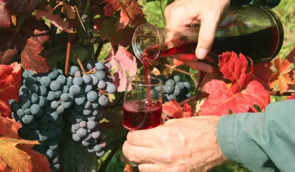 В Делчево се провежда празник на виното