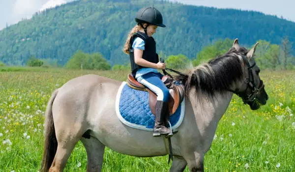 Безплатни уроци по езда в Бургас на днешния Тодоровден