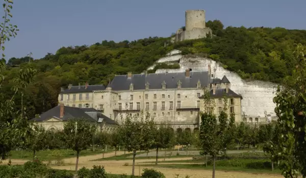 Замъкът Ла Рош Гион