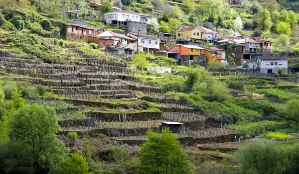 Оренсе, Испания