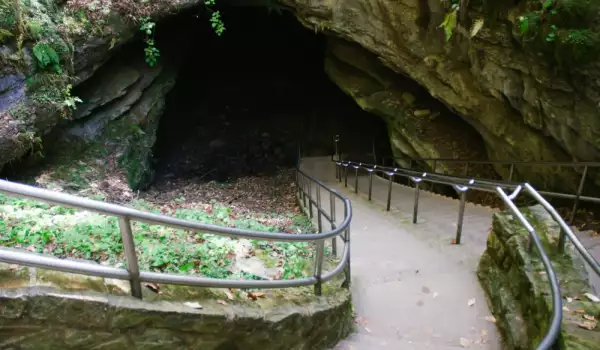 Национален Парк Мамутова Пещера
