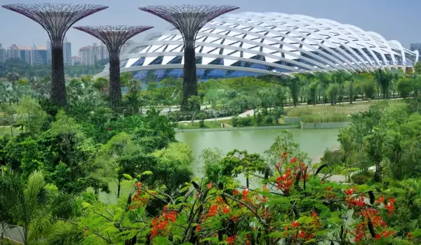 Великолепните оранжерии на Сингапур