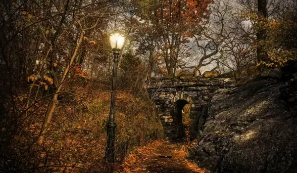 Есен в Ню Йорк: Вижте магията на града с тези фотографии