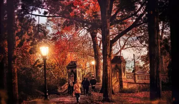 Есен в Ню Йорк: Вижте магията на града с тези фотографии