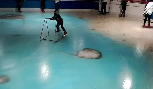 Пързалка със замразена риба