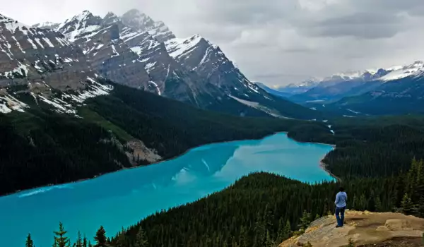 Езерото Пейто в Канада