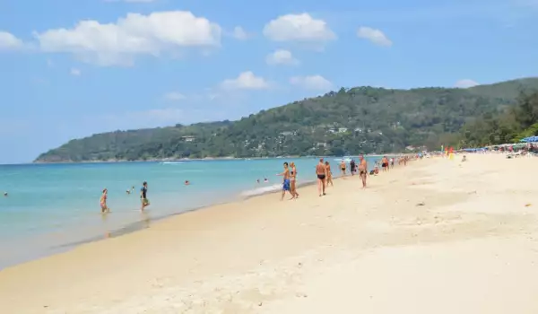 Затвориха плажове в Тайланд заради опасни морски обитатели