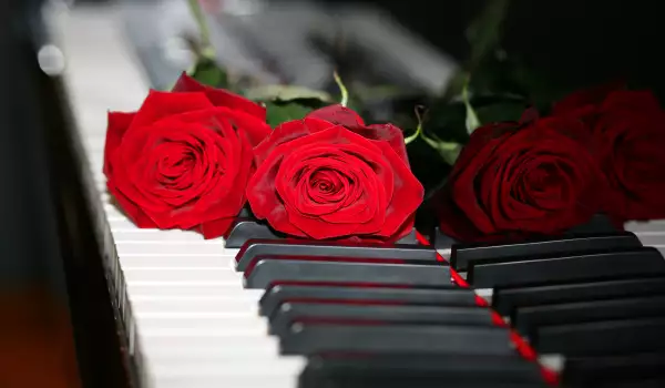 Пиано с рози