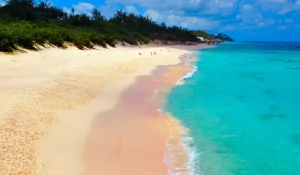 Розов плаж Бермуда