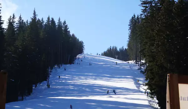 Алпийски звезди в Банско за старта на сезона