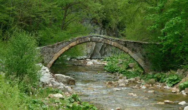 Мост в Родопите