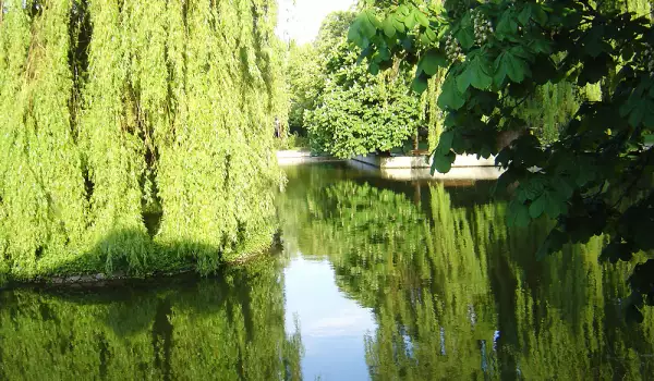 Романтично езеро