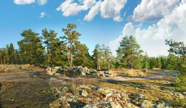 Самалахденмяки