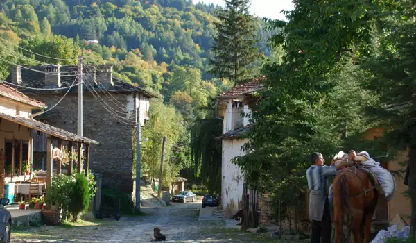 Българинът избяга да живее на село