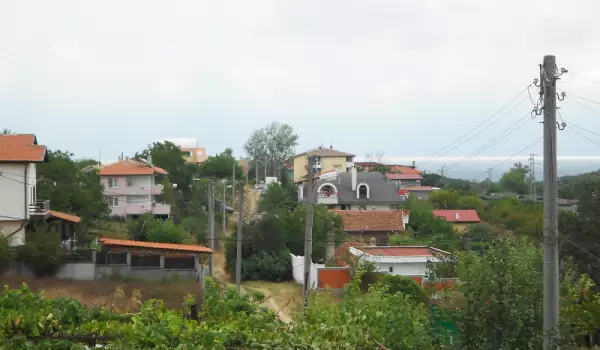 Синеморец