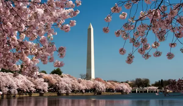 Монументът на Вашингтон