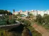 Амадора