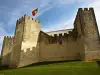 Замъкът Лоуле