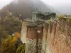 Замъкът Поенари