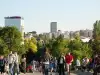 Паркингите в София се превръщат в паркове
