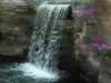 Най-екзотичният водопад се намира в Румъния