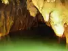 Пещерите Вайтомо